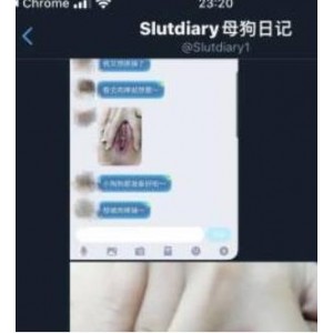 Slutdiary1推特大神的日记合集