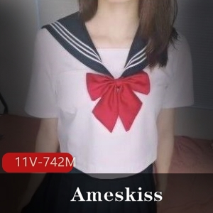 A姐珍藏视频合11个742兆P站Ameskiss